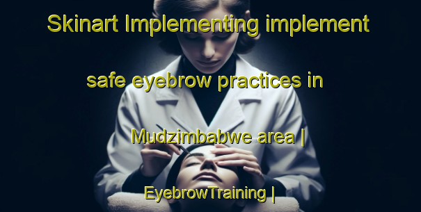 Skinart Implementing implement safe eyebrow practices in Mudzimbabwe area | EyebrowTraining | EyebrowClasses | SkinartTraining-Zimbabwe